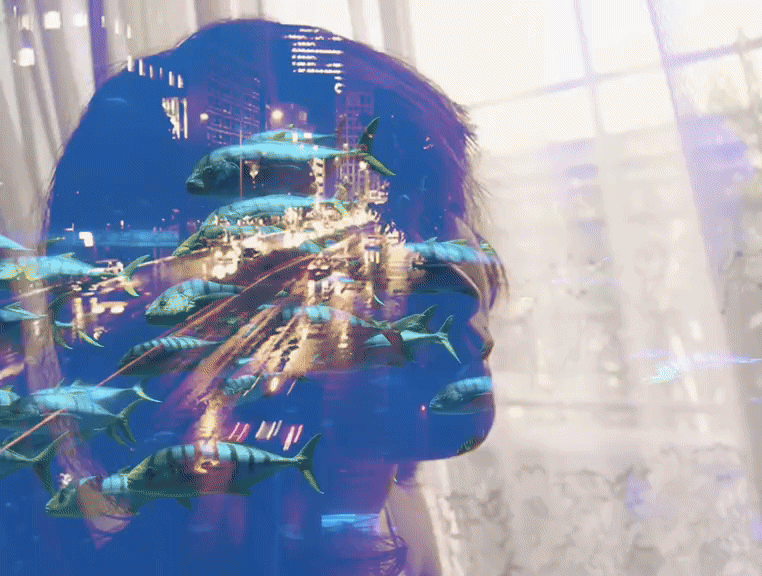 Visualizer
